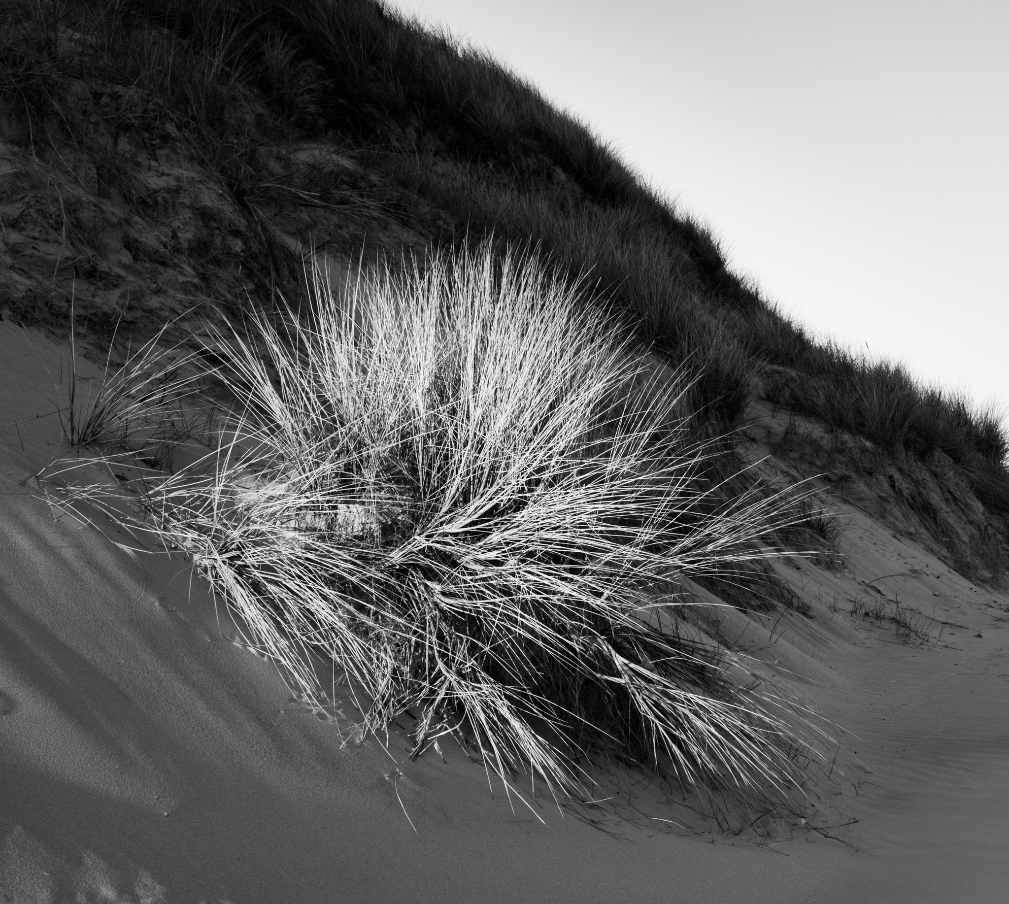 2025 05 15  xt 5   2412